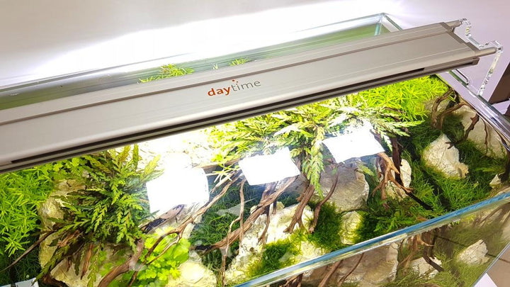 daytime matrix LED-Beleuchtung über einem Aquarium