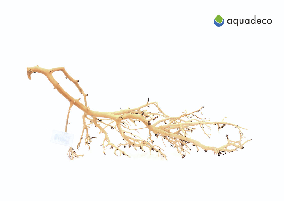 Aquadeco Coral-Tree - S, 10-20 cm von Aquadeco