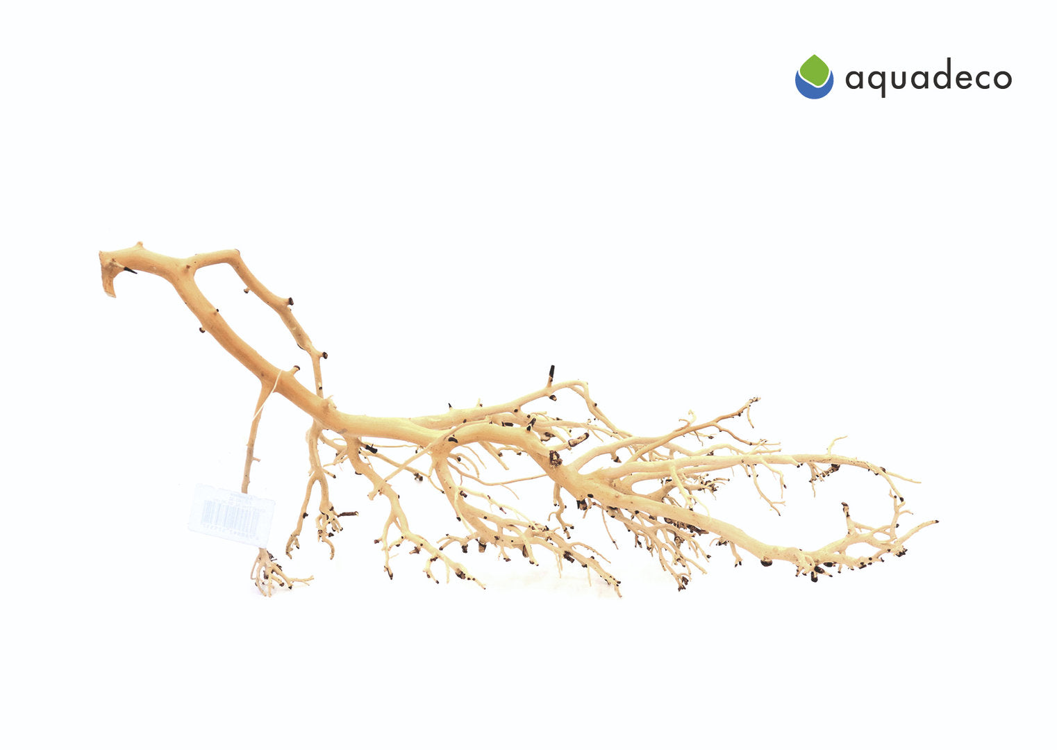 Aquadeco Coral-Tree - S, 10-20 cm von Aquadeco