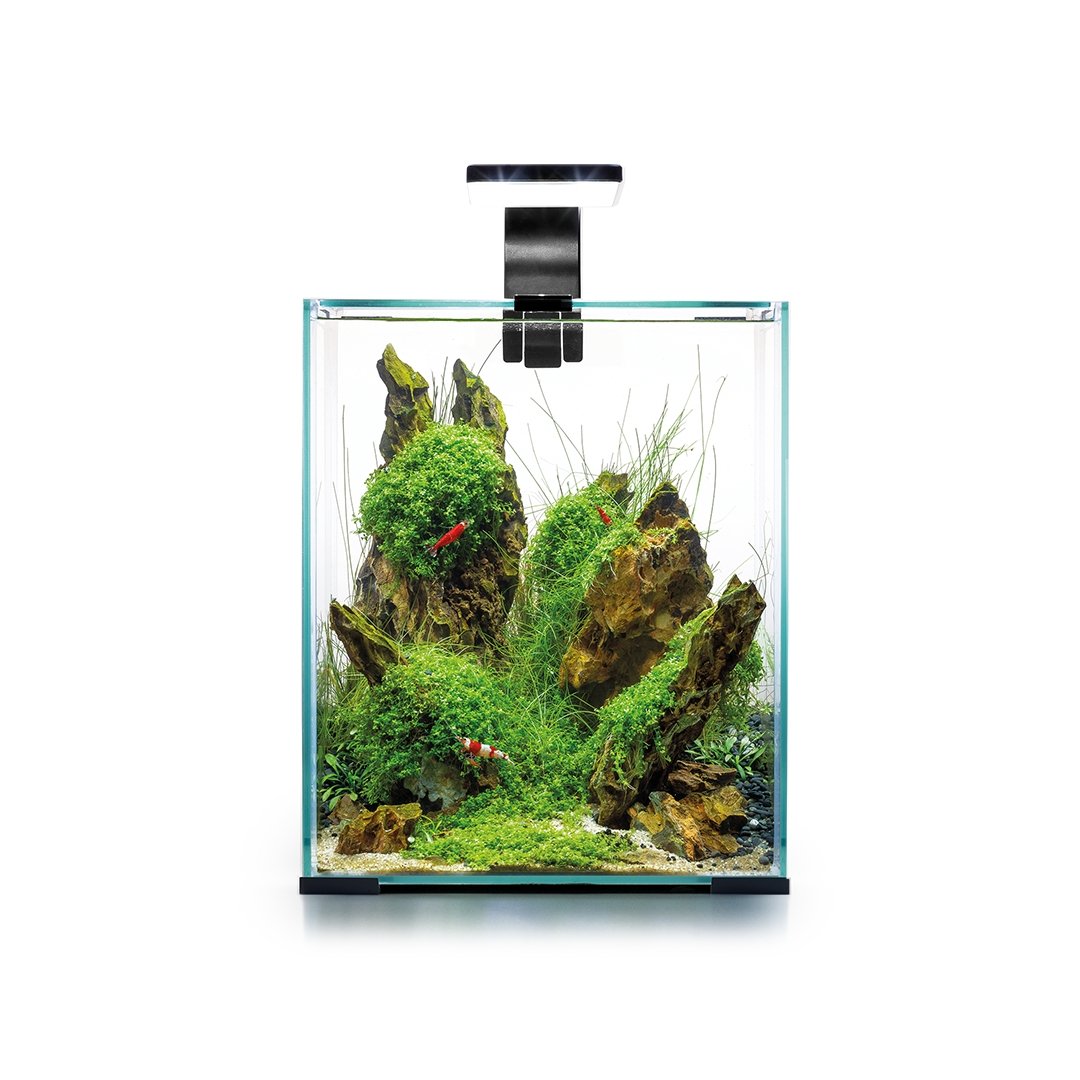 Aquael Aquarium Komplettset Shrimp Set Day &amp; Night von Aquael