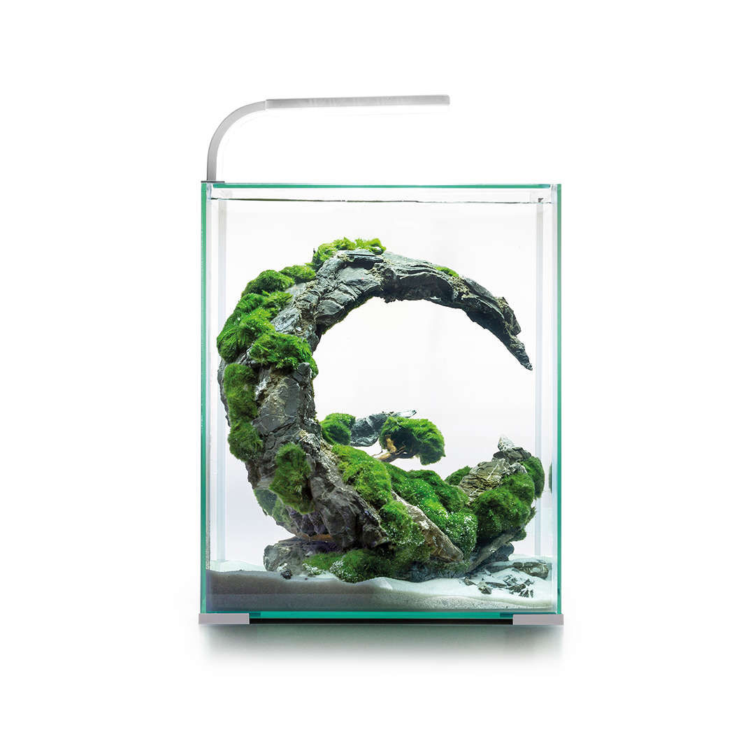 Aquael Aquarium Komplettset Shrimp Set Day &amp; Night von Aquael