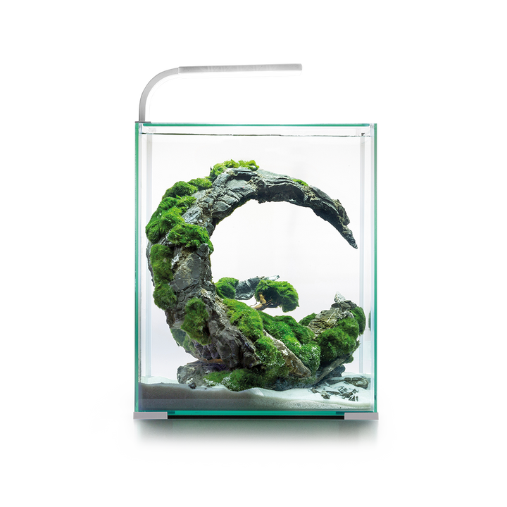 Aquael Aquarium Komplettset Shrimp Set Day &amp; Night von Aquael