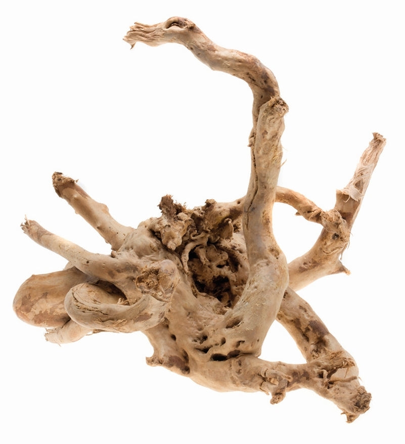 Aquael Driftwood Wurzel von Aquael Driftwood Wurzel