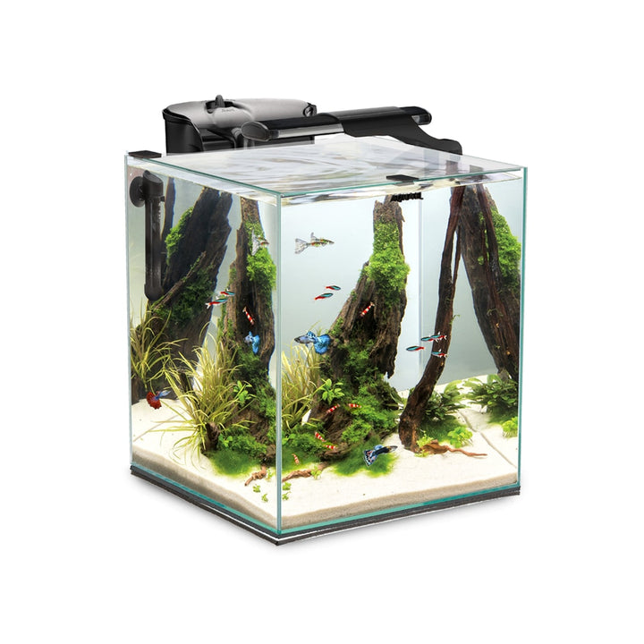 Aquael Fish &amp; Shrimp Set Duo 35 Aquariumset von Aquael