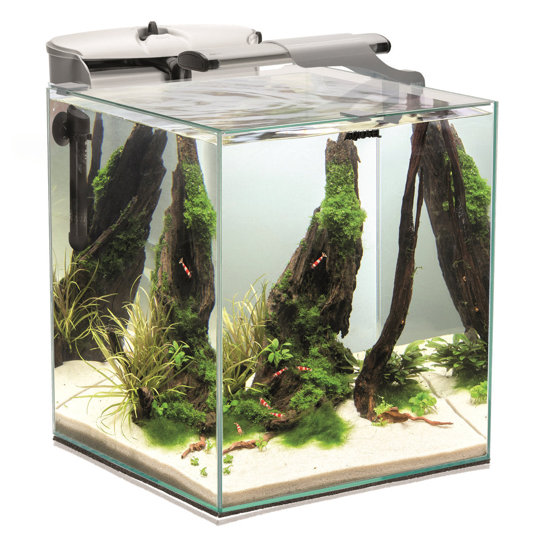 Aquael Fish &amp; Shrimp Set Duo 35 Aquariumset von Aquael