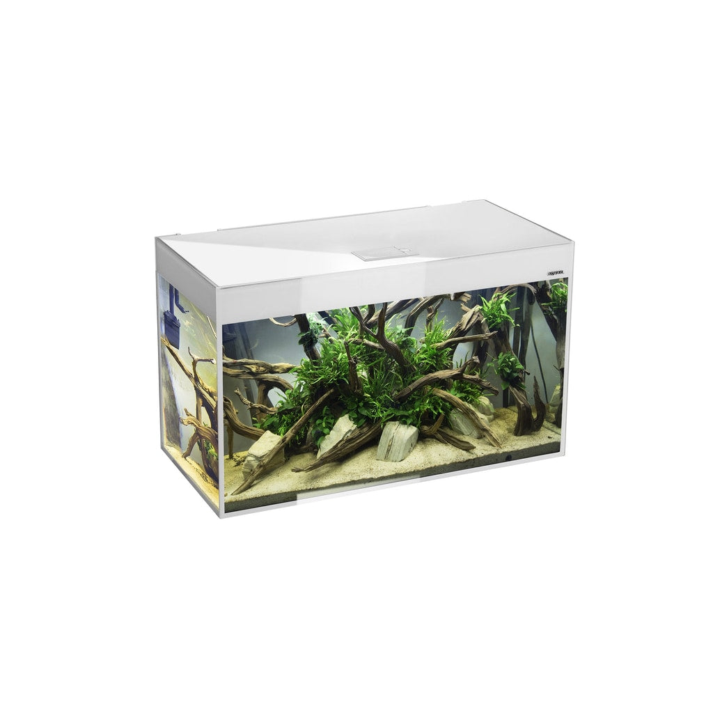 Aquael GLOSSY 100 von Aquael