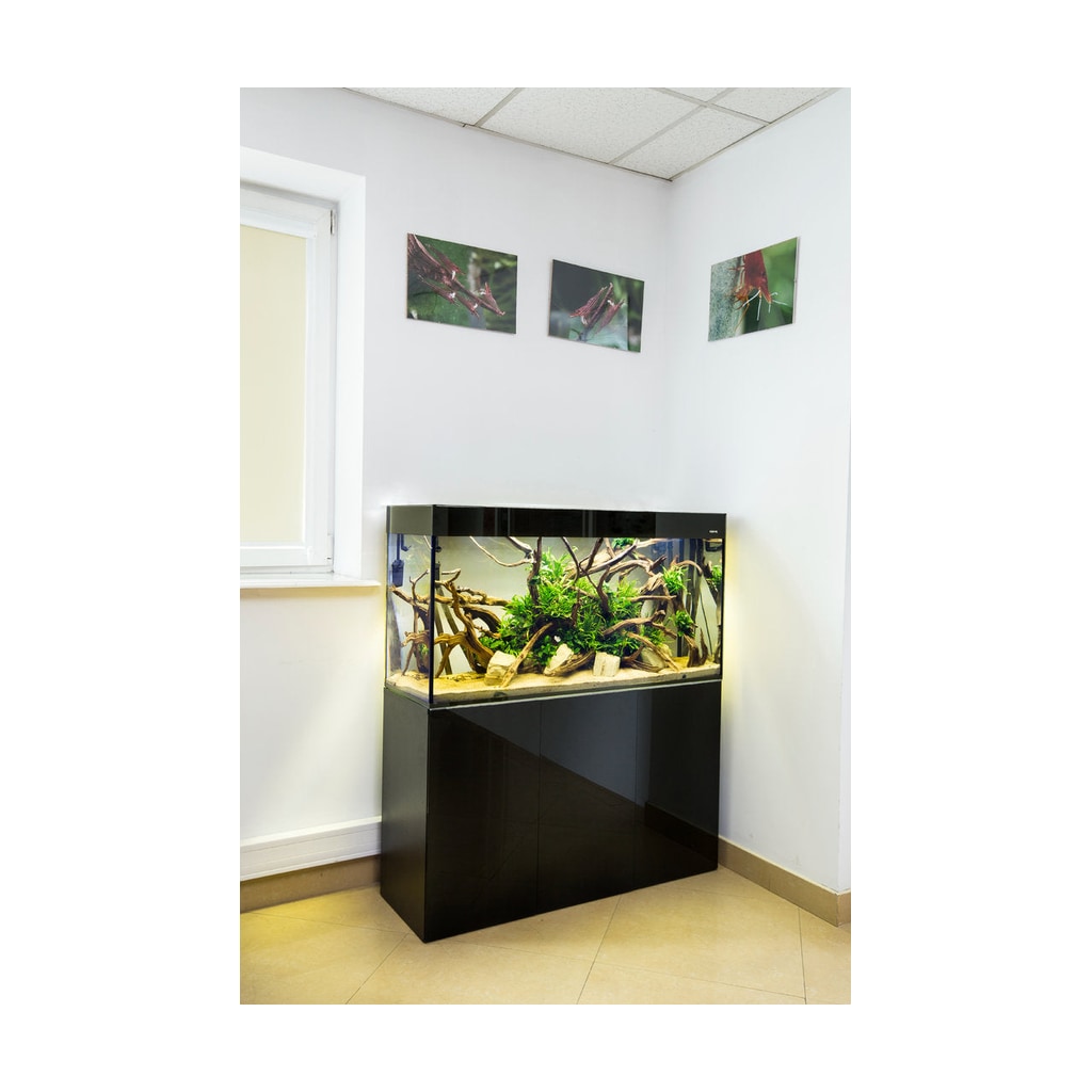 Aquael GLOSSY 100 von Aquael