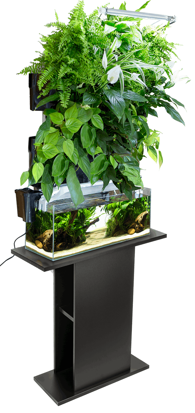 Aquael Versa Garden Pflanzenwand vertikaler Garten, Starter Kit von Aquael