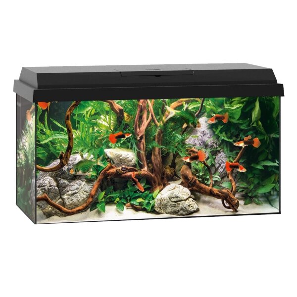 AquaPet AquaSet 60 x 30 x 30 cm