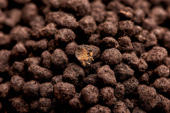 AQUARIO Neo Soil Compact Shrimp Powder von AQUARIO