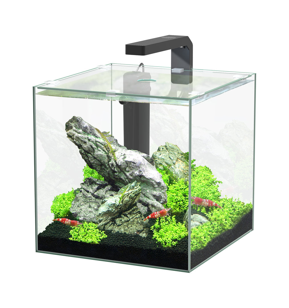 Aquatlantis Kubus Aquarium von Aquatlantis