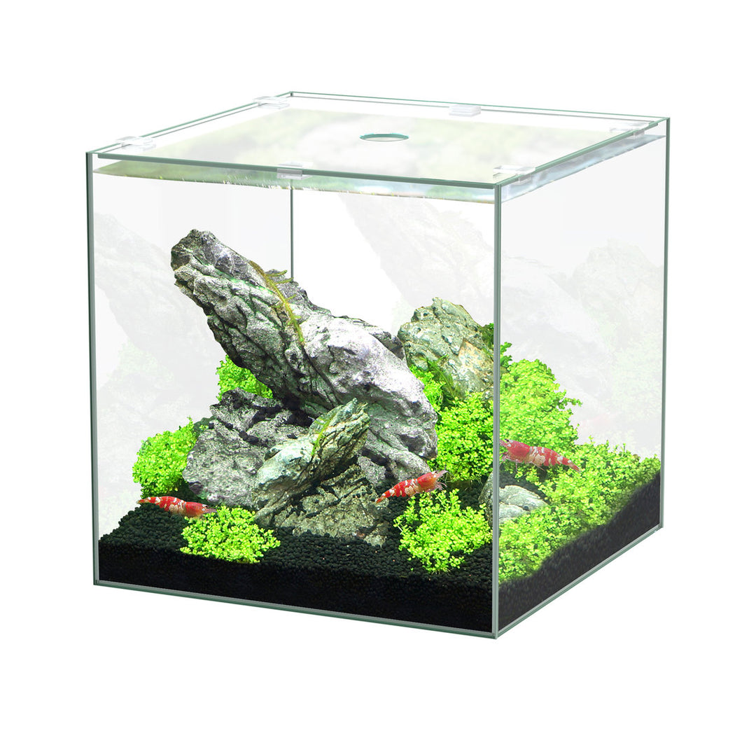 Aquatlantis Kubus Aquarium von Aquatlantis