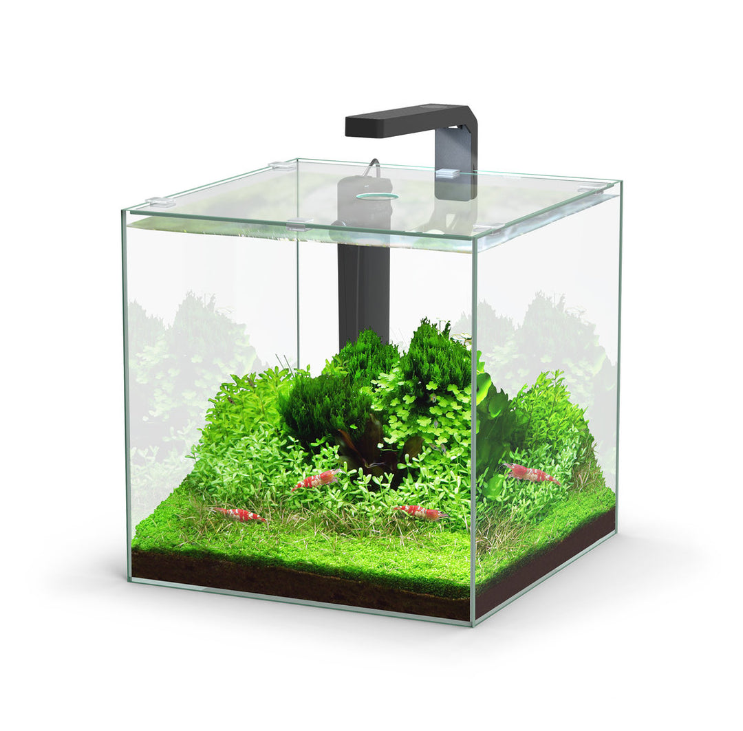 Aquatlantis Kubus Aquarium von Aquatlantis