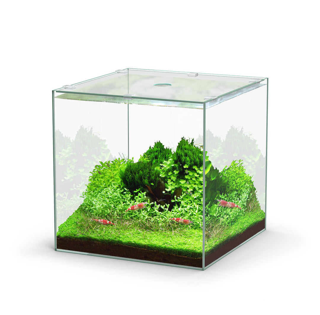 Aquatlantis Kubus Aquarium von Aquatlantis