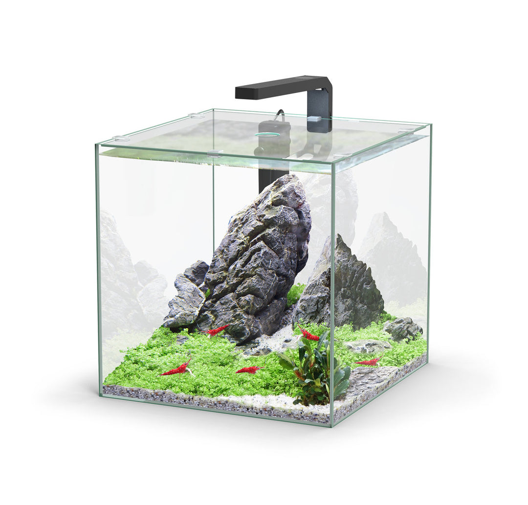 Aquatlantis Kubus Aquarium von Aquatlantis