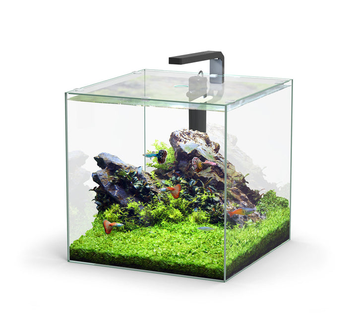 Aquatlantis Kubus Aquarium von Aquatlantis