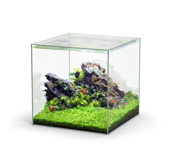 Aquatlantis Kubus Aquarium von Aquatlantis