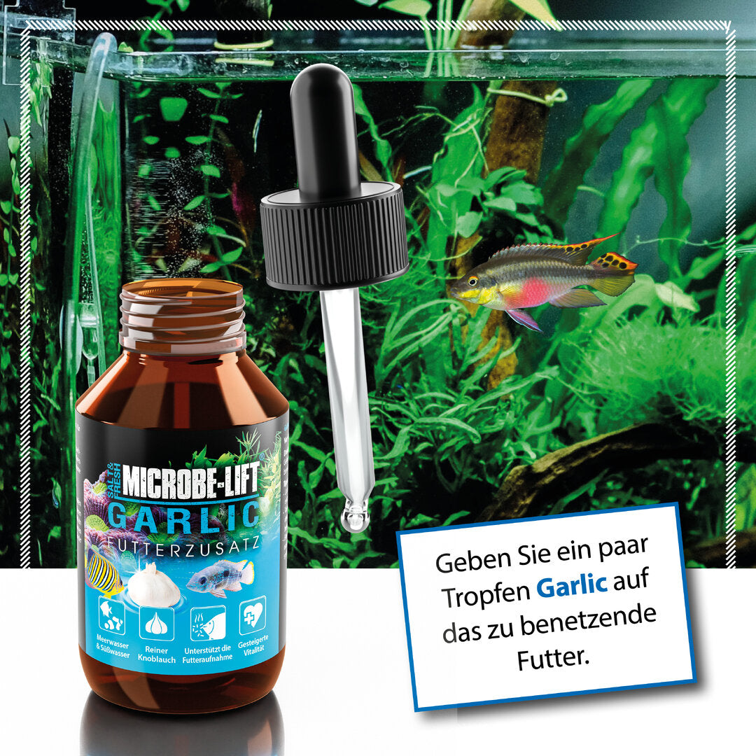 ARKA Microbe-Lift Garlic Futterzusatz - 100ml