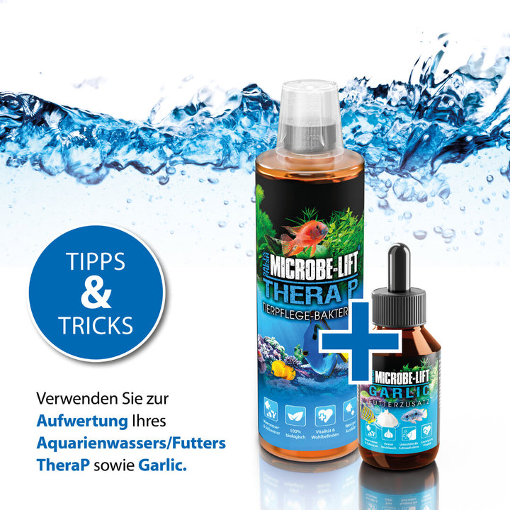 ARKA Microbe-Lift Garlic Futterzusatz - 100ml