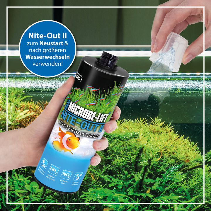 ARKA Microbe-Lift Nite-Out II Starterbakterien von ARKA
