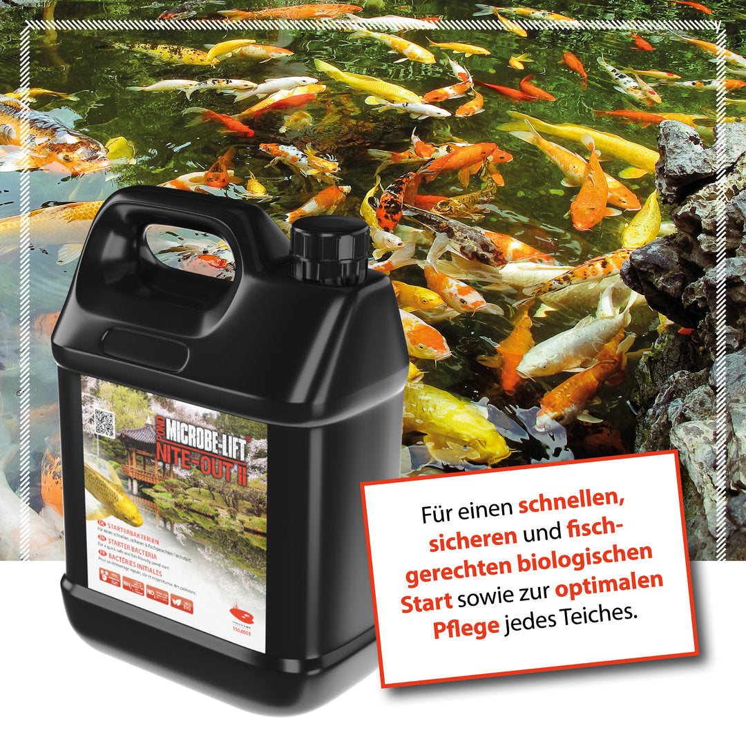 ARKA Nite-Out II Pond Starter-Bakterien von ARKA