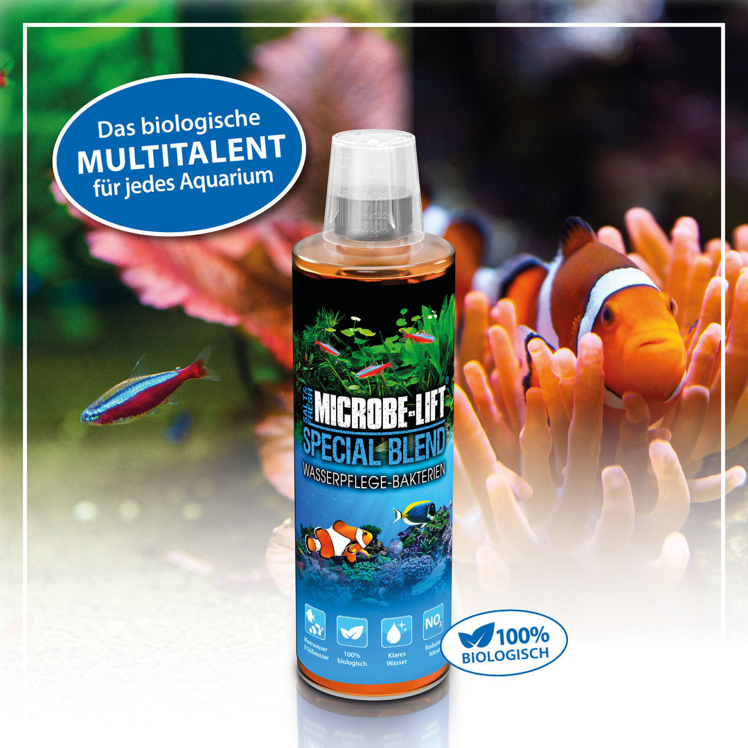 ARKA Special Blend Wasserpflegebakterien von ARKA