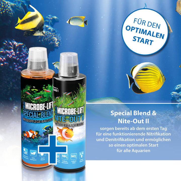 ARKA Special Blend Wasserpflegebakterien von ARKA