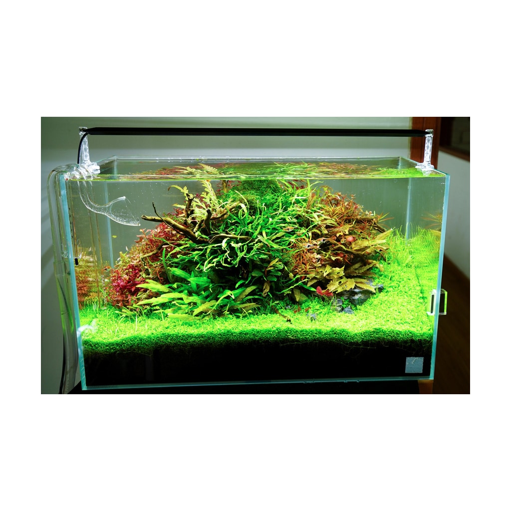 Chihiros A2 Serie LED AII401 Ersatzbeleuchtung für Dennerle Nano Tank Plant Pro von Chihiros