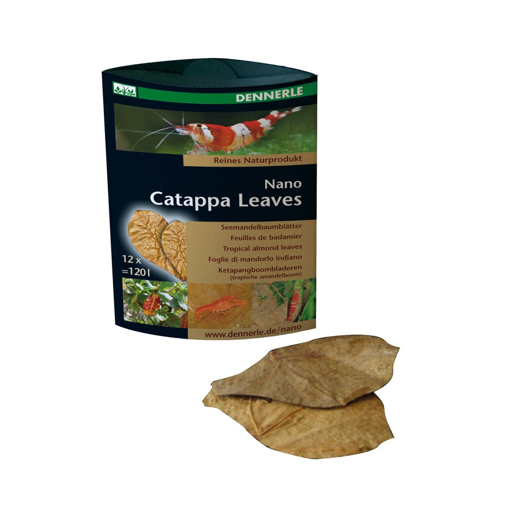 Dennerle Nano Catappa Leaves - 12 Stück von Dennerle