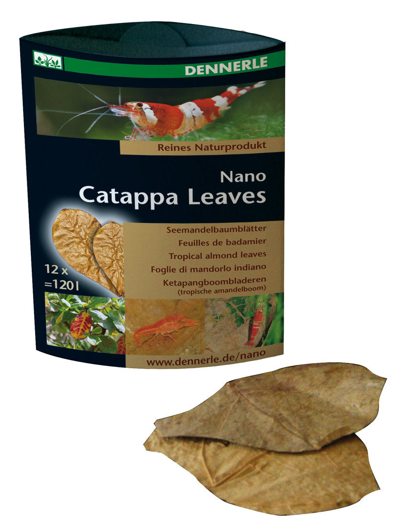 Dennerle Nano Catappa Leaves - 12 Stück