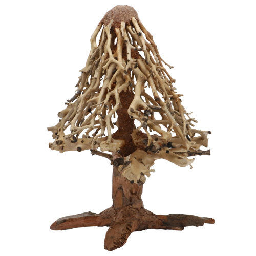 Dupla Brushwood M von Dupla
