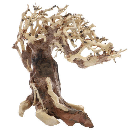 Dupla Crooked Root von Dupla