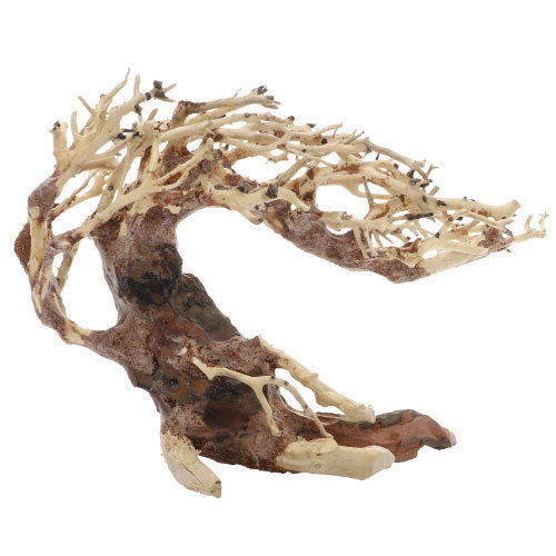 Dupla Crooked Root von Dupla