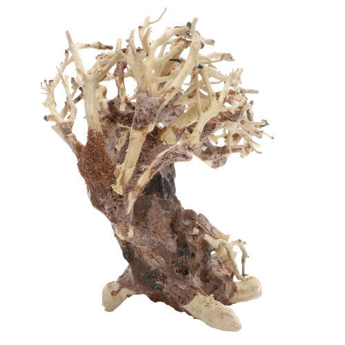Dupla Crooked Root von Dupla