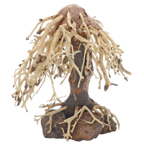 Dupla Weeping Willow 1 von Dupla