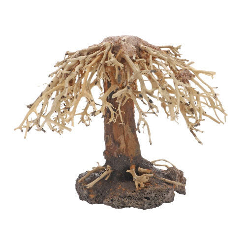 Dupla Weeping Willow 2 von Dupla