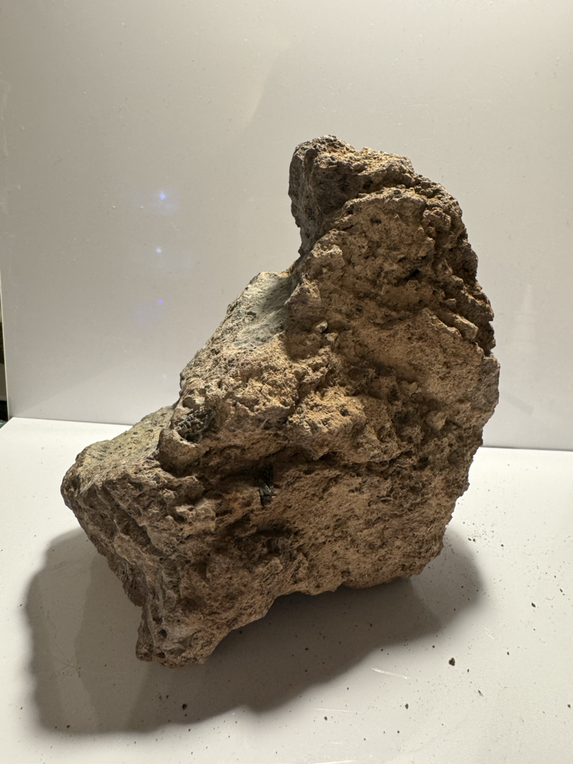 Lavastein Natur S (glatt mit weniger Poren) von Finn &amp; Reef