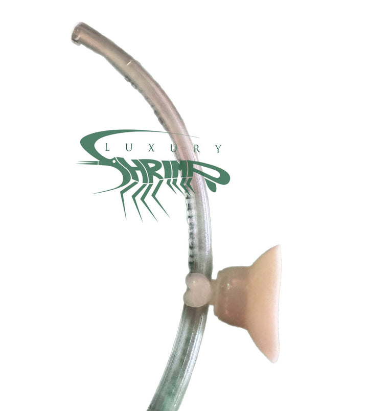 Premium Saugnäpfe mit Halterung für 1/4" Osmoseschlauch von Finn &amp; Reef