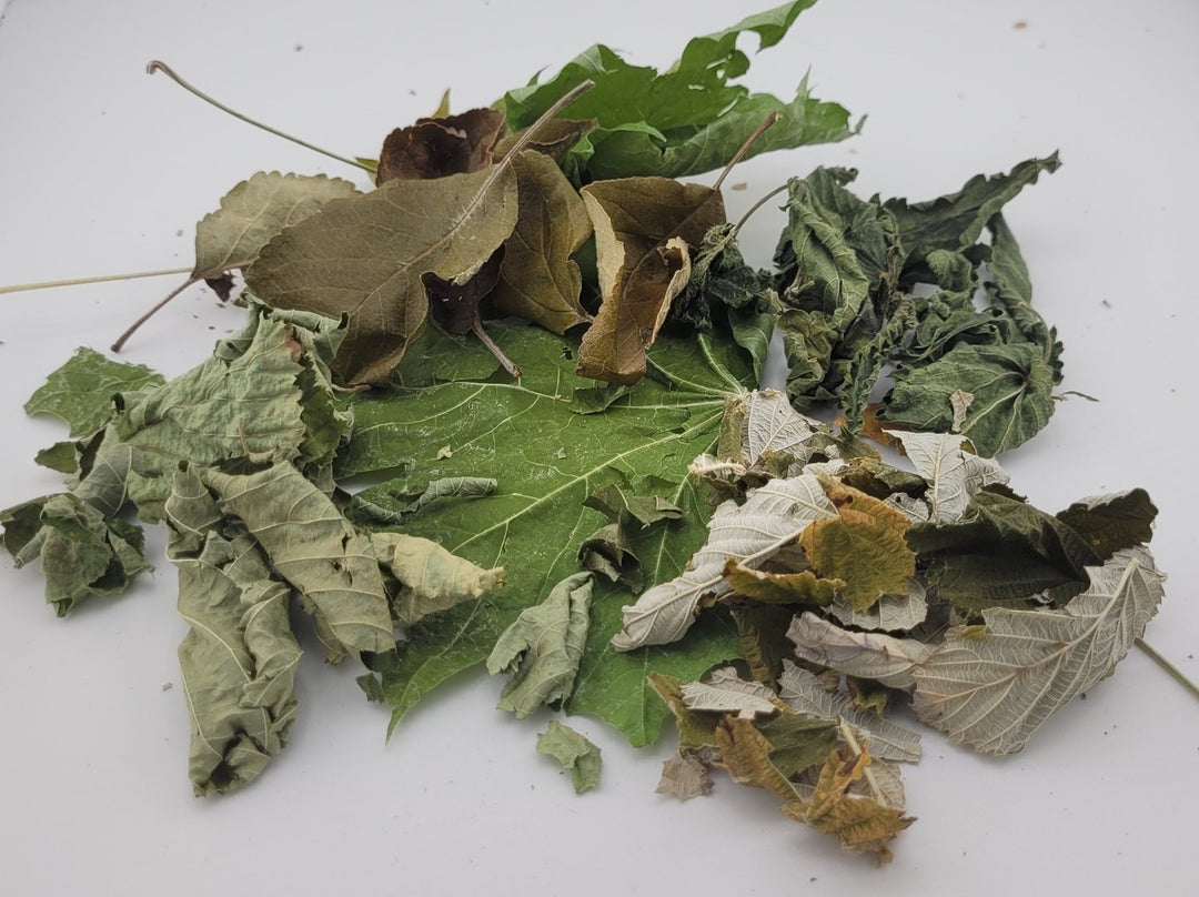 Grüner Blätter-Mix, grüne Futterblätter, Ergänzungsfutter für Garnelen - 20 Stück