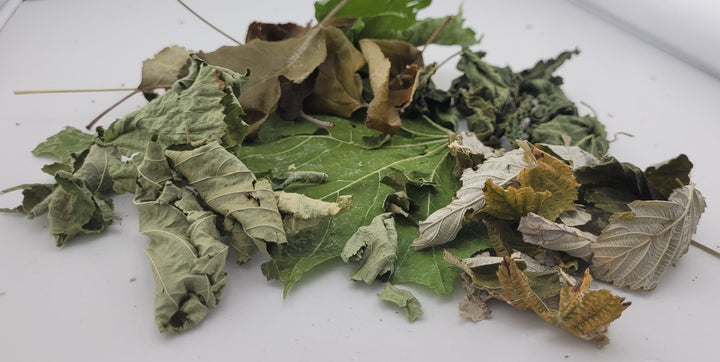 Grüner Blätter-Mix, grüne Futterblätter, Ergänzungsfutter für Garnelen - 20 Stück