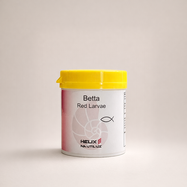 Helix Nautilus Betta Futter - Red Larvae