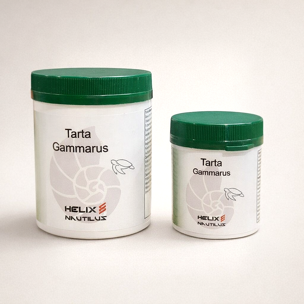 Helix Nautilus Tarta Gammarus - Hauptbild - helix-nautilus-tarta-gammarus-01-hauptbild.jpg