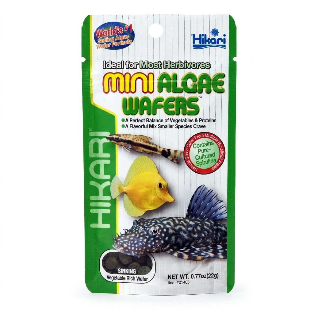 Hikari Mini Algae Wafers 22g (0.77oz) – Premium Sinking Futtertabletten für Algenfresser &amp; Bodenfische - Hauptbild - hikari-mini-algae-wafers-077oz-22g-01-hauptbild.jpg