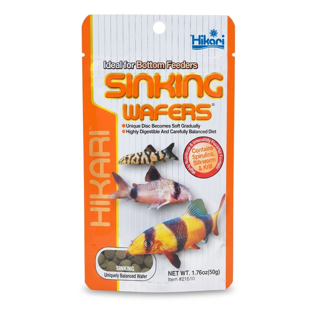 Hikari Sinking Wafers – Premium Bodenfutter für Welse, Schmerlen &amp; Aquarienfische (50g) - Hauptbild - hikari-sinking-wafers-various-sizes-eg-25g-50g-110g-availabl-01-hauptbild.jpg