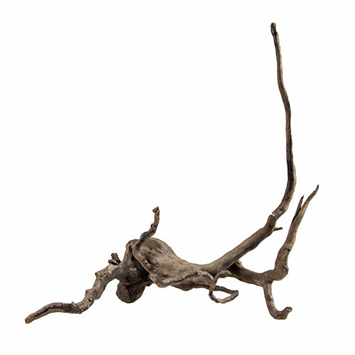 Hobby Dark Fingerwood Fingerwurzel dunkel - S, 20 - 30 cm von HOBBY