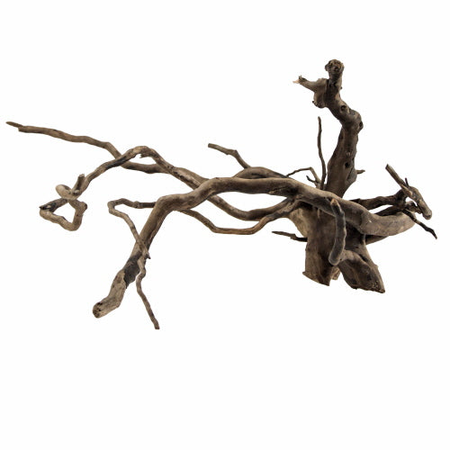 Hobby Dark Fingerwood Fingerwurzel dunkel - S, 20 - 30 cm von HOBBY