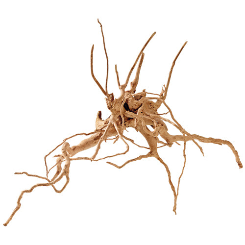 Hobby Fingerwood Fingerwurzel von Hobby Fingerwood Fingerwurzel