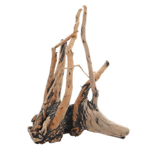 Hobby Fingerwood Shadow Fingerwurzel von HOBBY