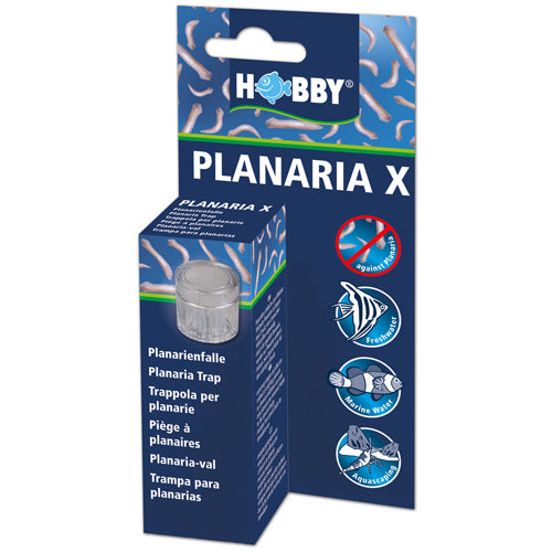 Hobby Planaria X Planarienbekämpfung von Hobby