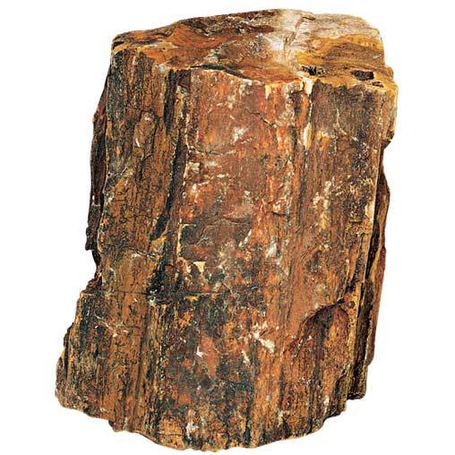 Hobby Steinholz von Hobby Steinholz